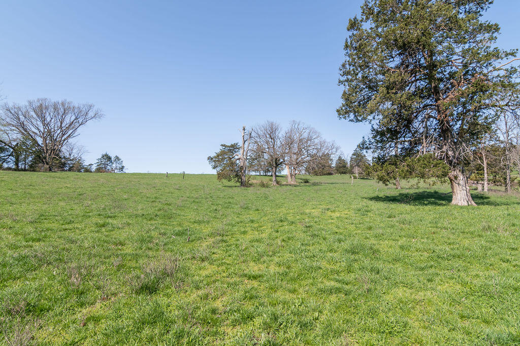 4021 Flat Creek Road Property Photo 19