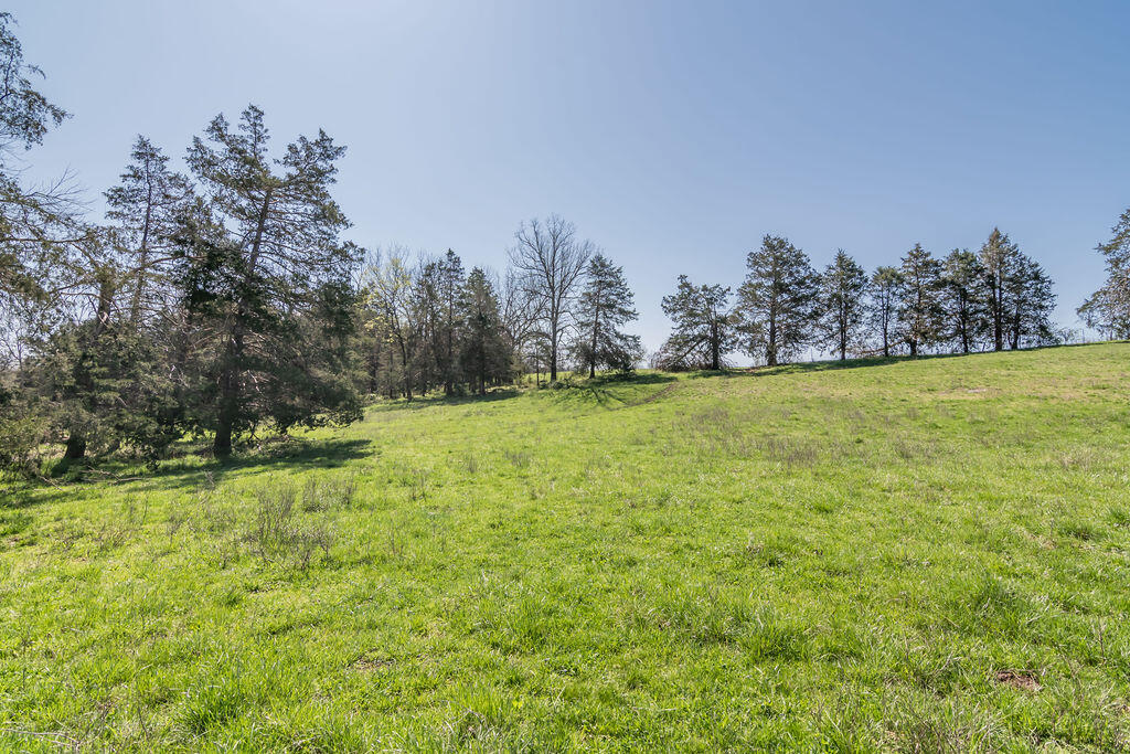 4021 Flat Creek Road Property Photo 20
