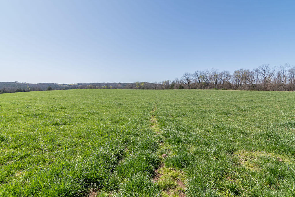 4021 Flat Creek Road Property Photo 22