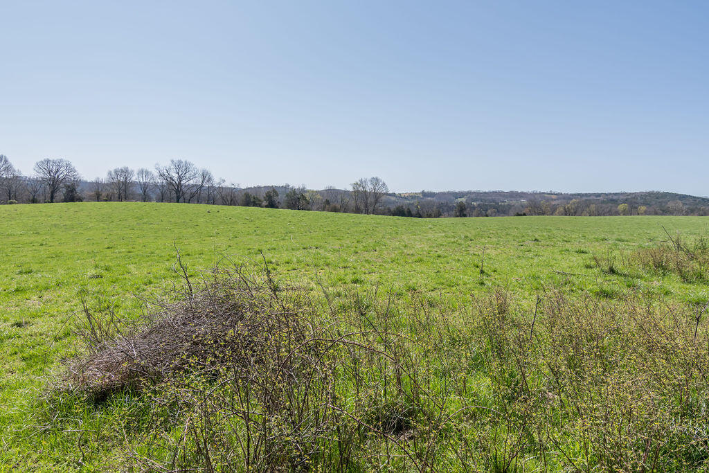 4021 Flat Creek Road Property Photo 23