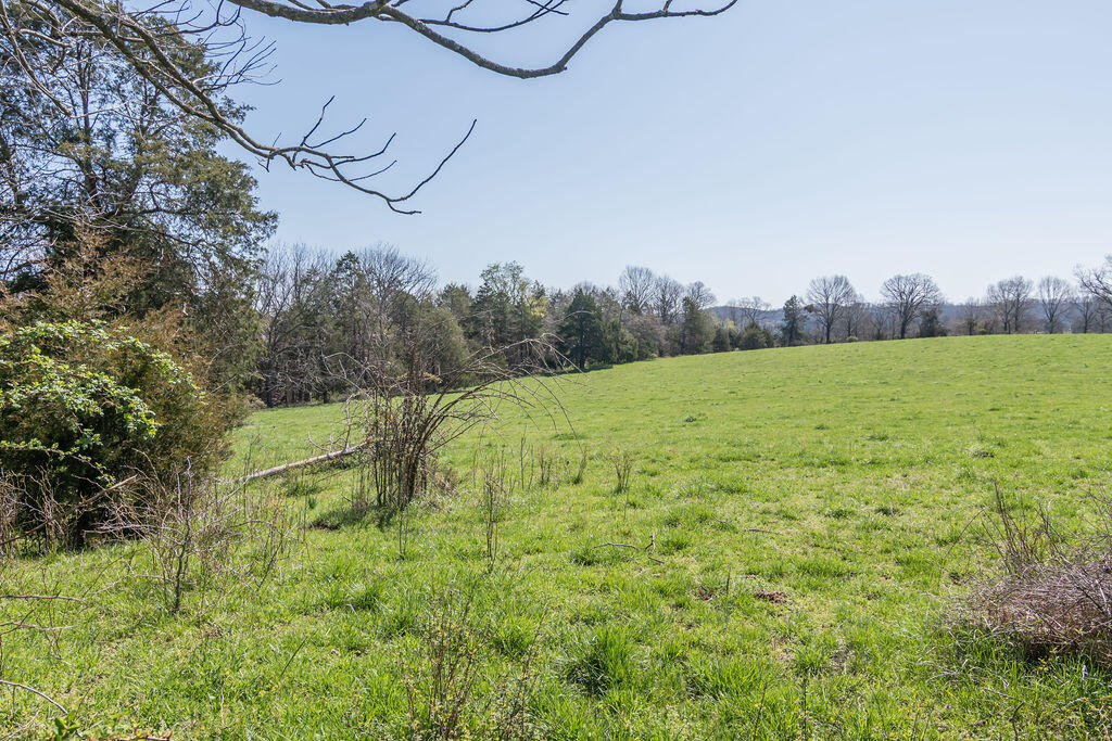 4021 Flat Creek Road Property Photo 24