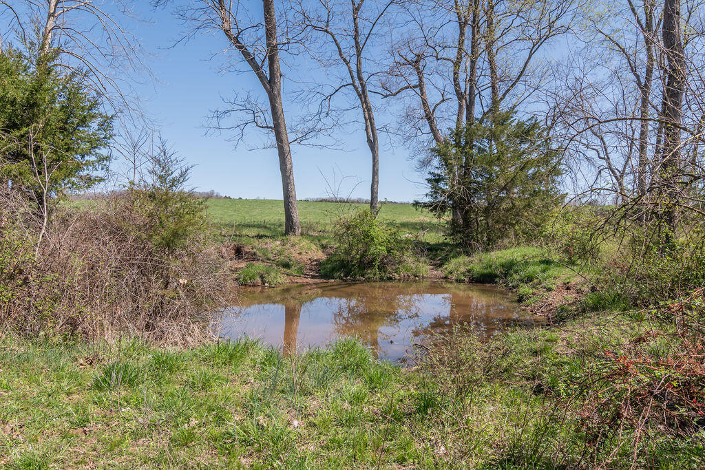 4021 Flat Creek Road Property Photo 26