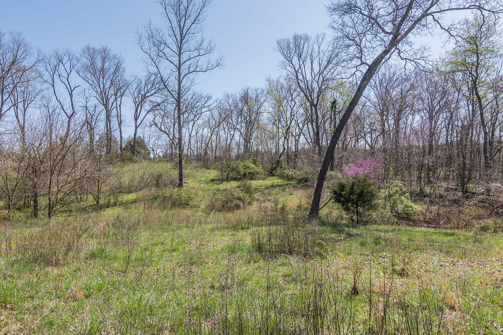 4021 Flat Creek Road Property Photo 27