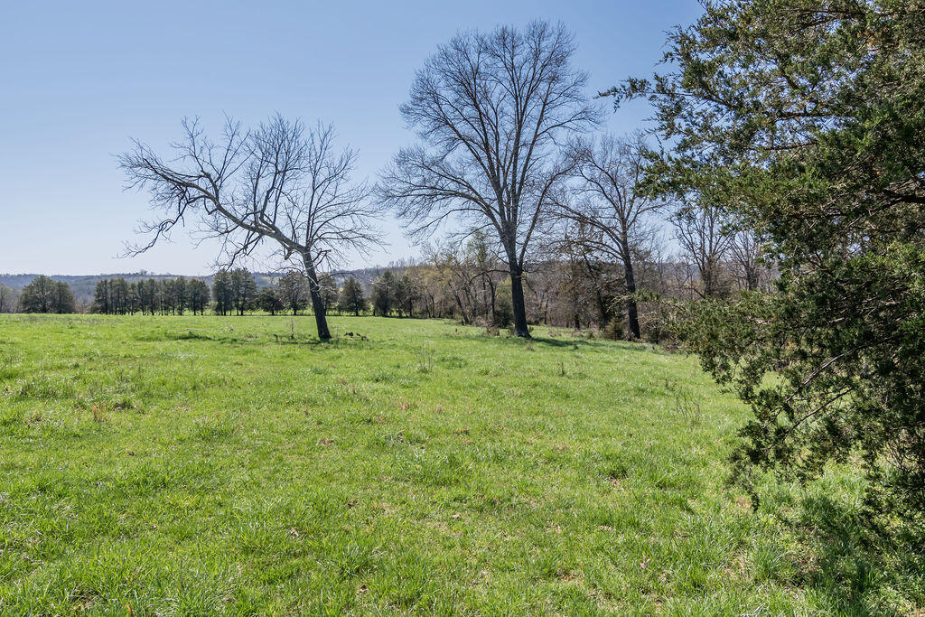 4021 Flat Creek Road Property Photo 31