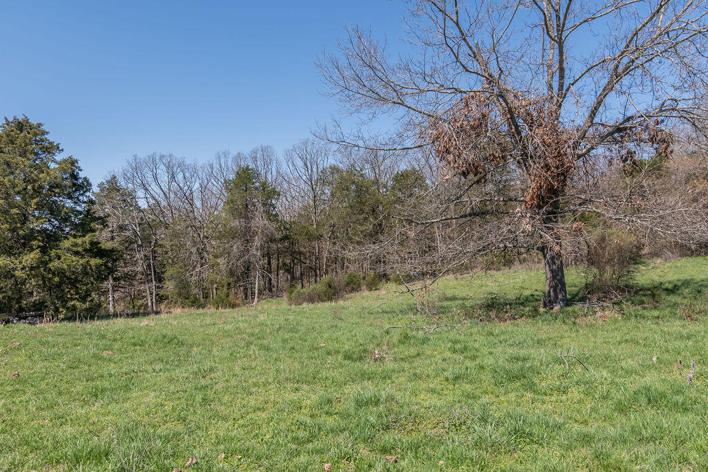 4021 Flat Creek Road Property Photo 34
