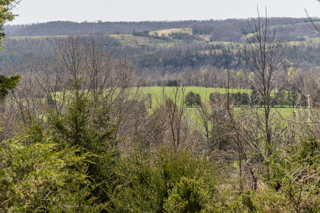 4021 Flat Creek Road Property Photo 36