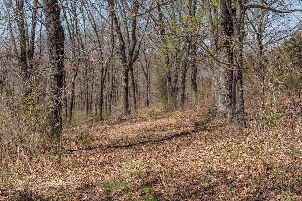 4021 Flat Creek Road Property Photo 37