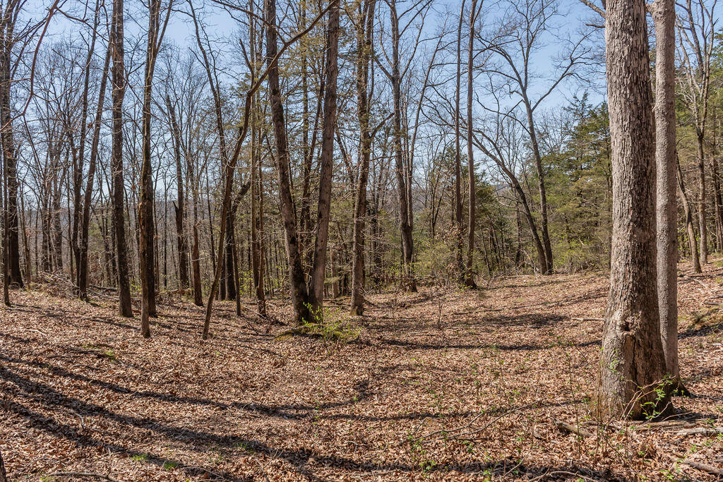 4021 Flat Creek Road Property Photo 38