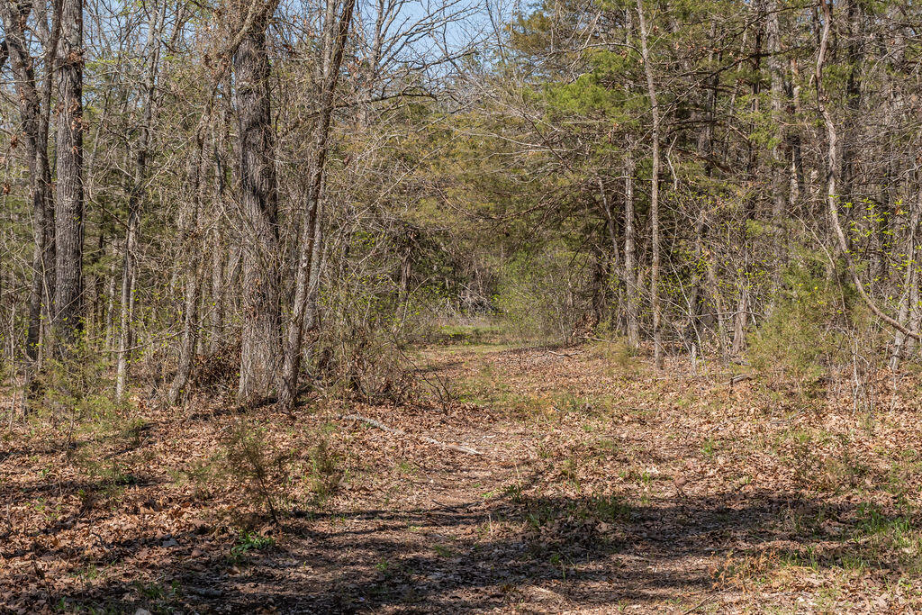 4021 Flat Creek Road Property Photo 39