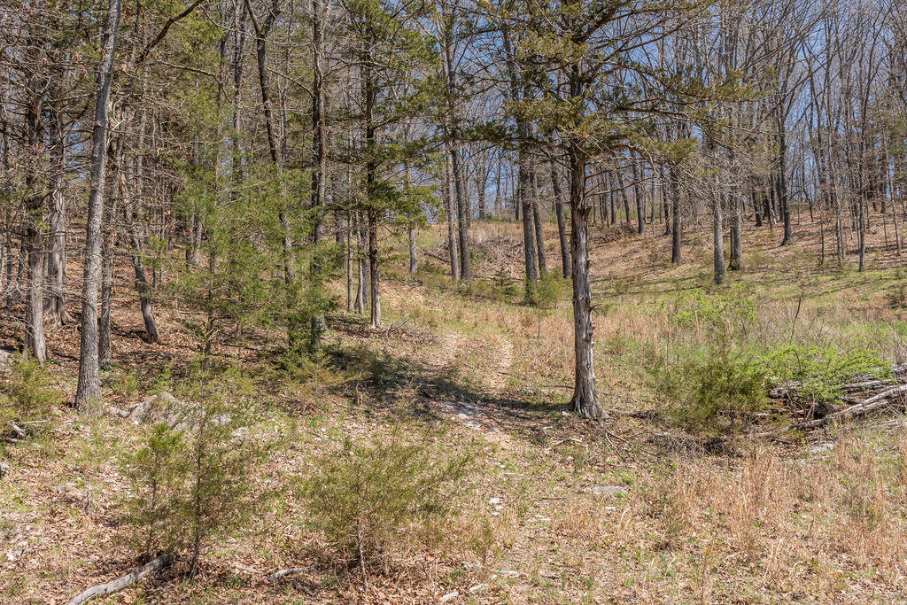 4021 Flat Creek Road Property Photo 40