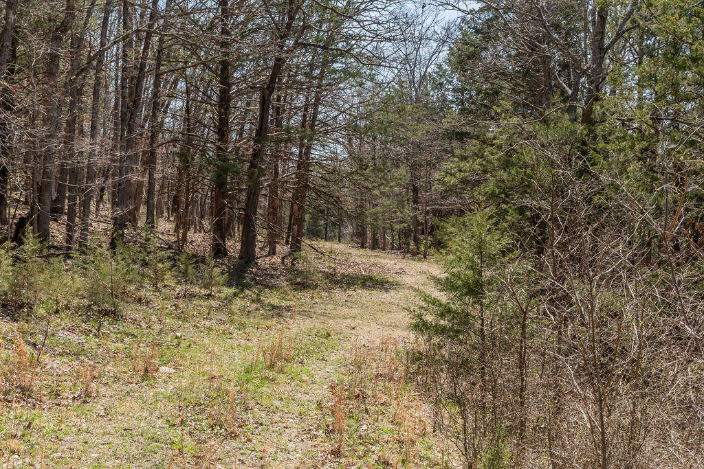4021 Flat Creek Road Property Photo 41