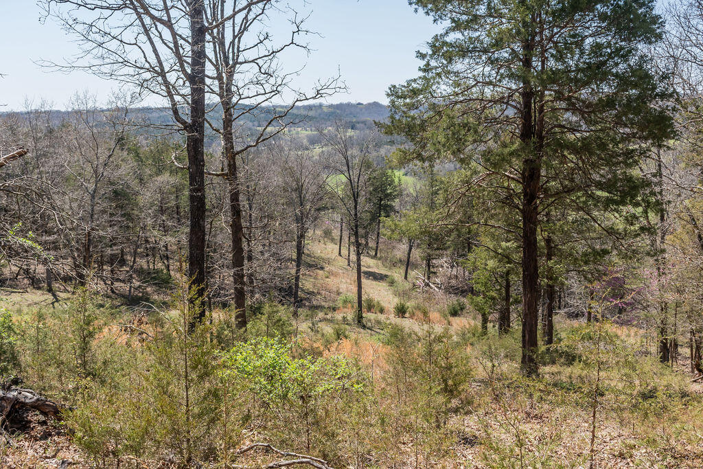4021 Flat Creek Road Property Photo 42