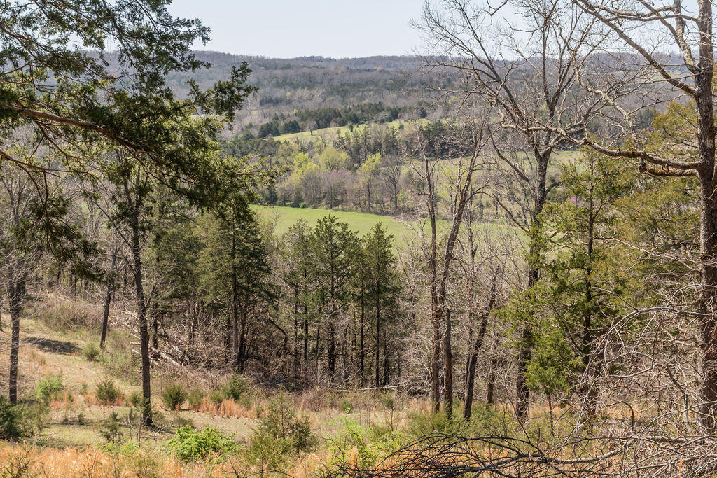 4021 Flat Creek Road Property Photo 43