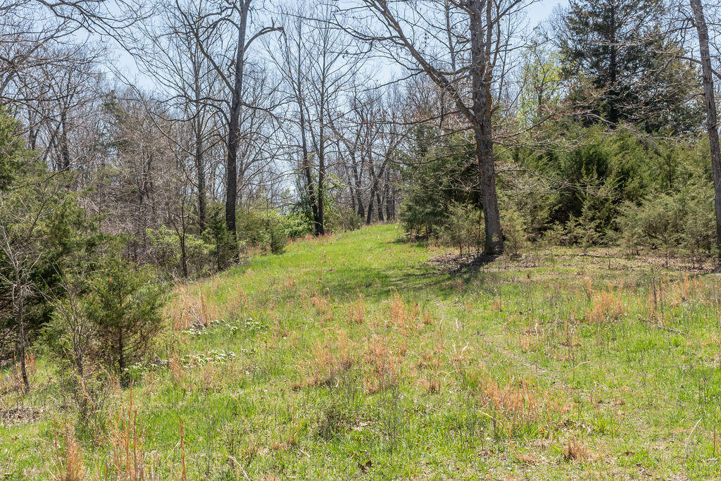 4021 Flat Creek Road Property Photo 44