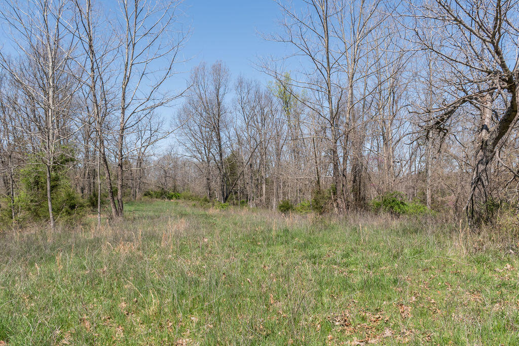 4021 Flat Creek Road Property Photo 46