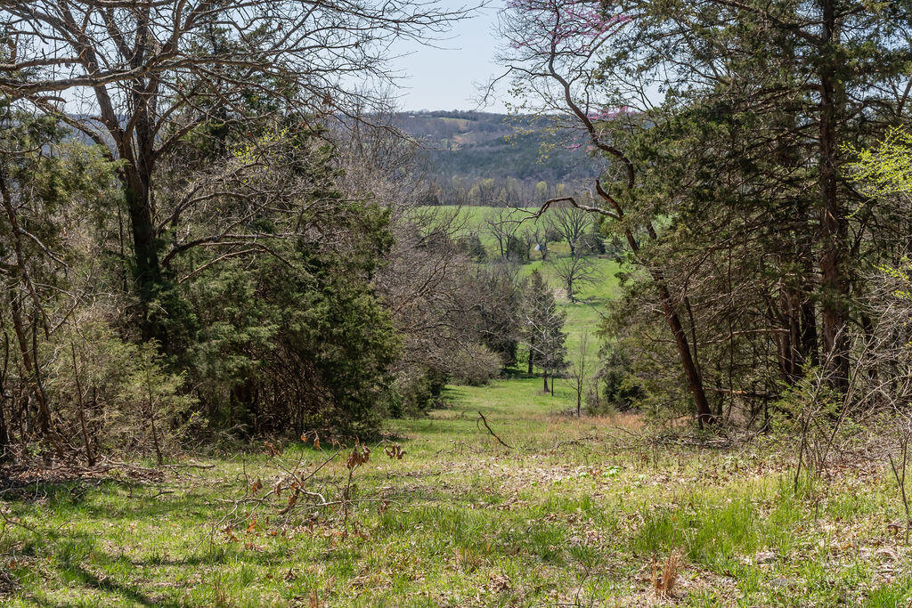 4021 Flat Creek Road Property Photo 47