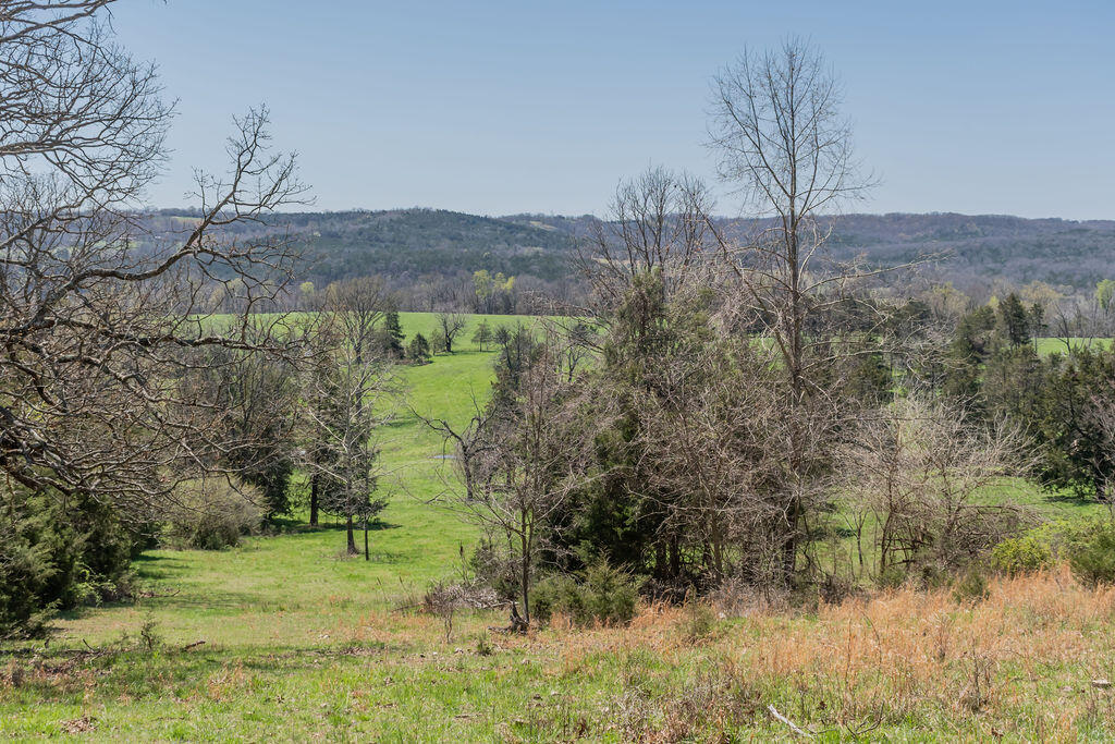 4021 Flat Creek Road Property Photo 48