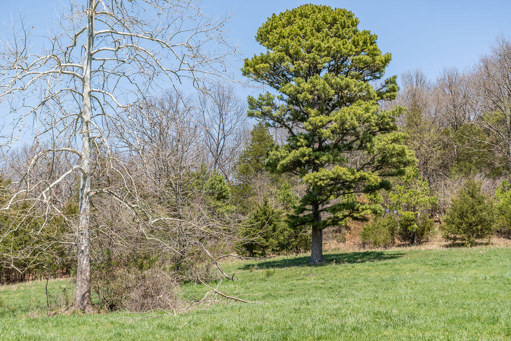 4021 Flat Creek Road Property Photo 51