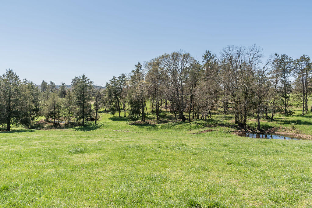 4021 Flat Creek Road Property Photo 52