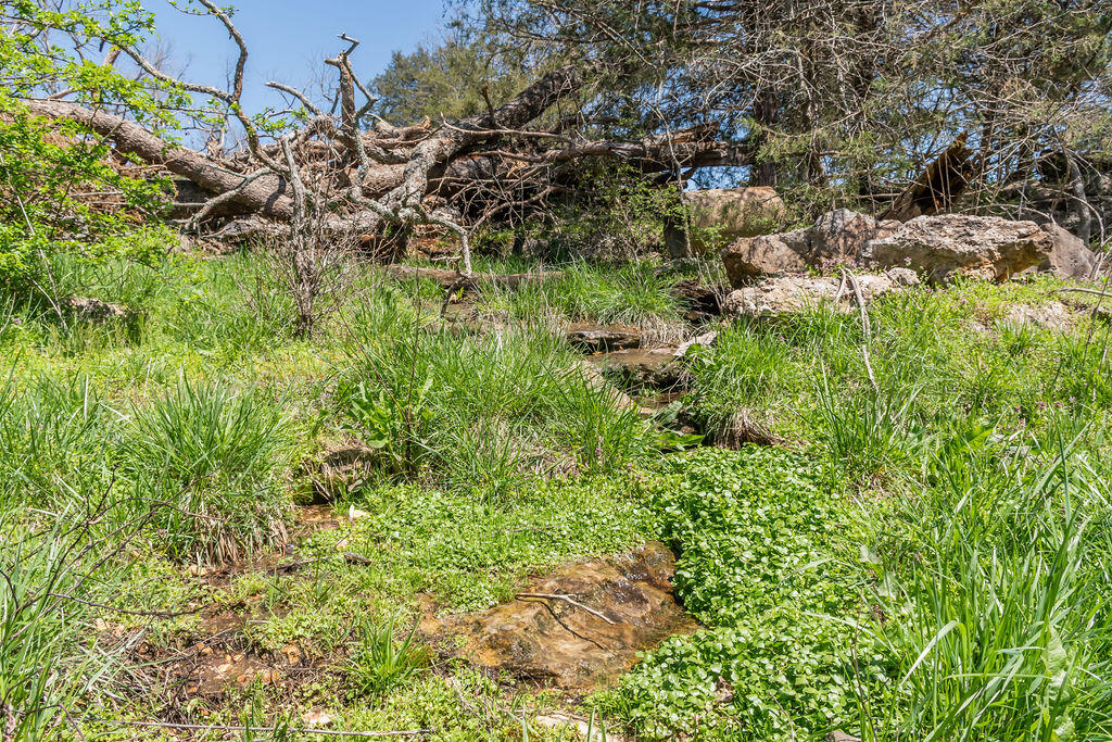 4021 Flat Creek Road Property Photo 53