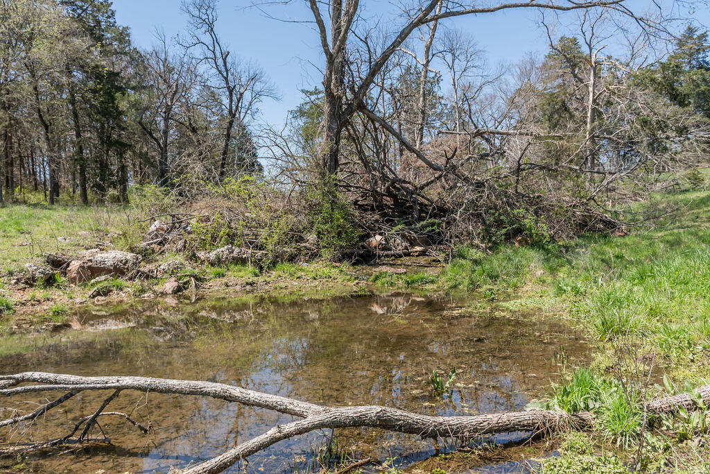4021 Flat Creek Road Property Photo 54