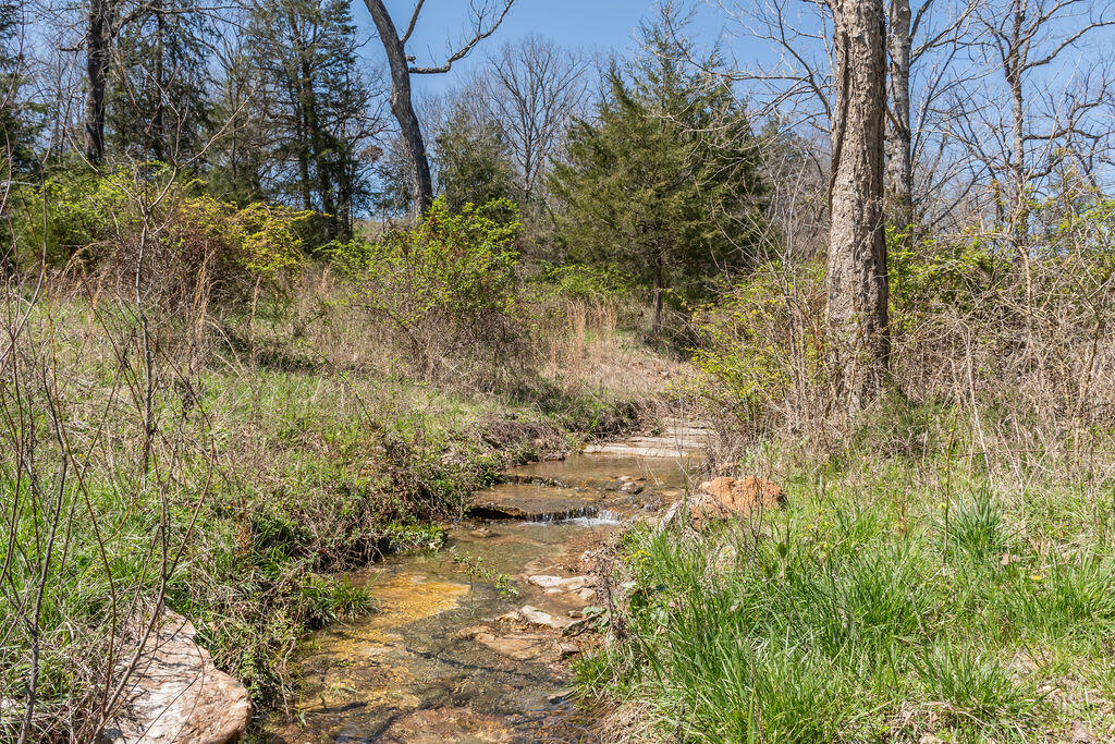 4021 Flat Creek Road Property Photo 59
