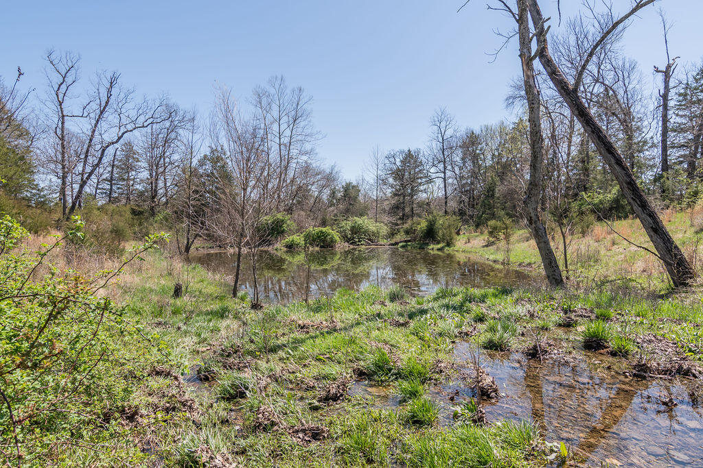 4021 Flat Creek Road Property Photo 61