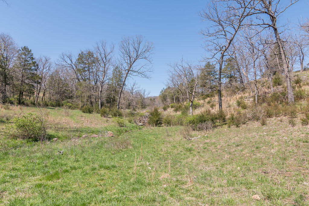 4021 Flat Creek Road Property Photo 62