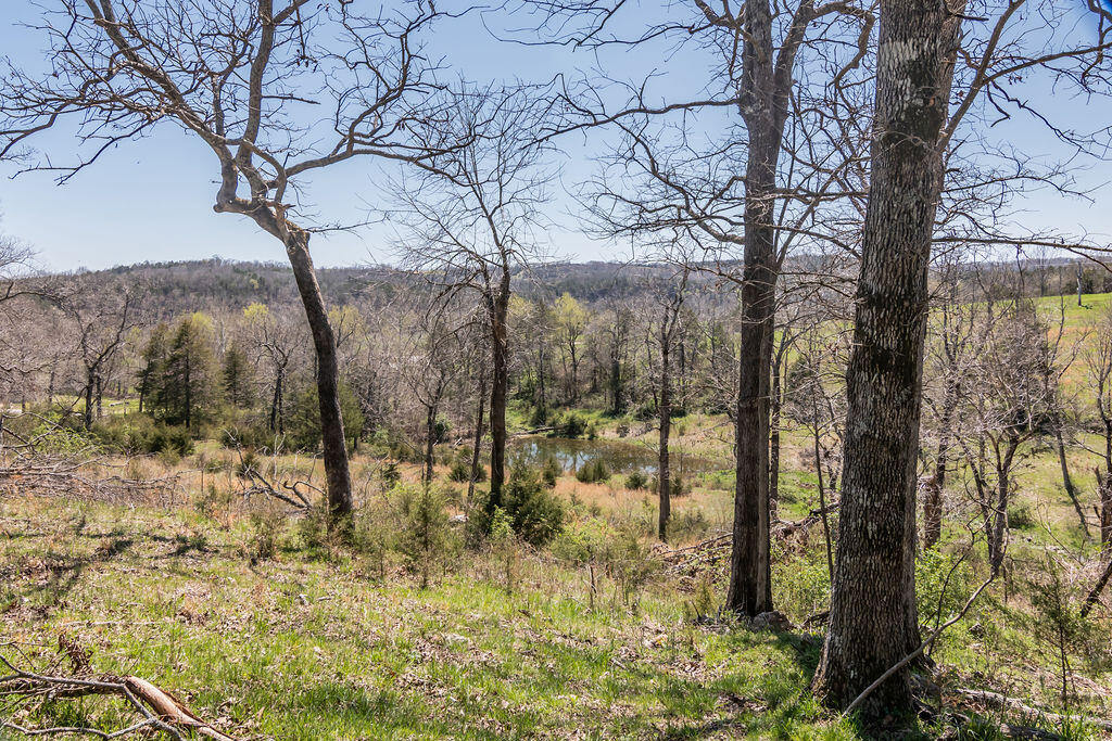4021 Flat Creek Road Property Photo 63