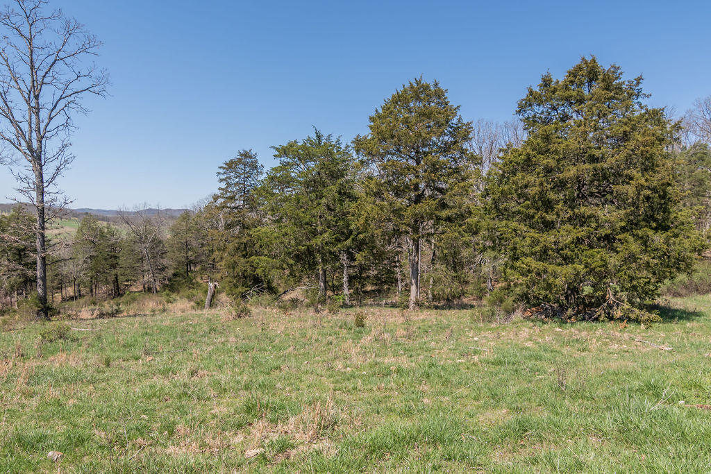 4021 Flat Creek Road Property Photo 32