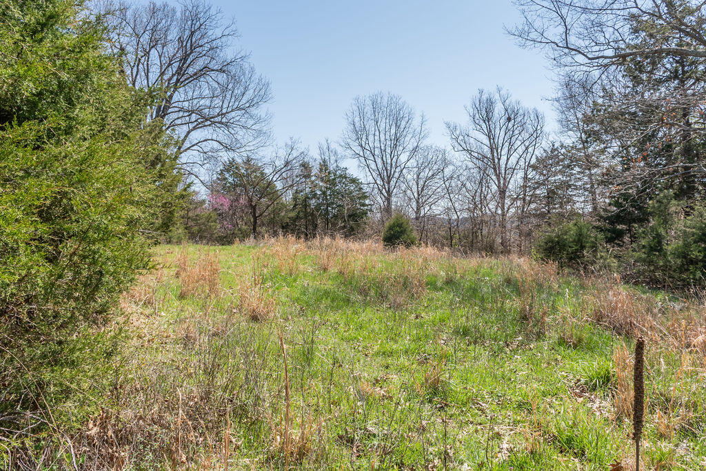 4021 Flat Creek Road Property Photo 45