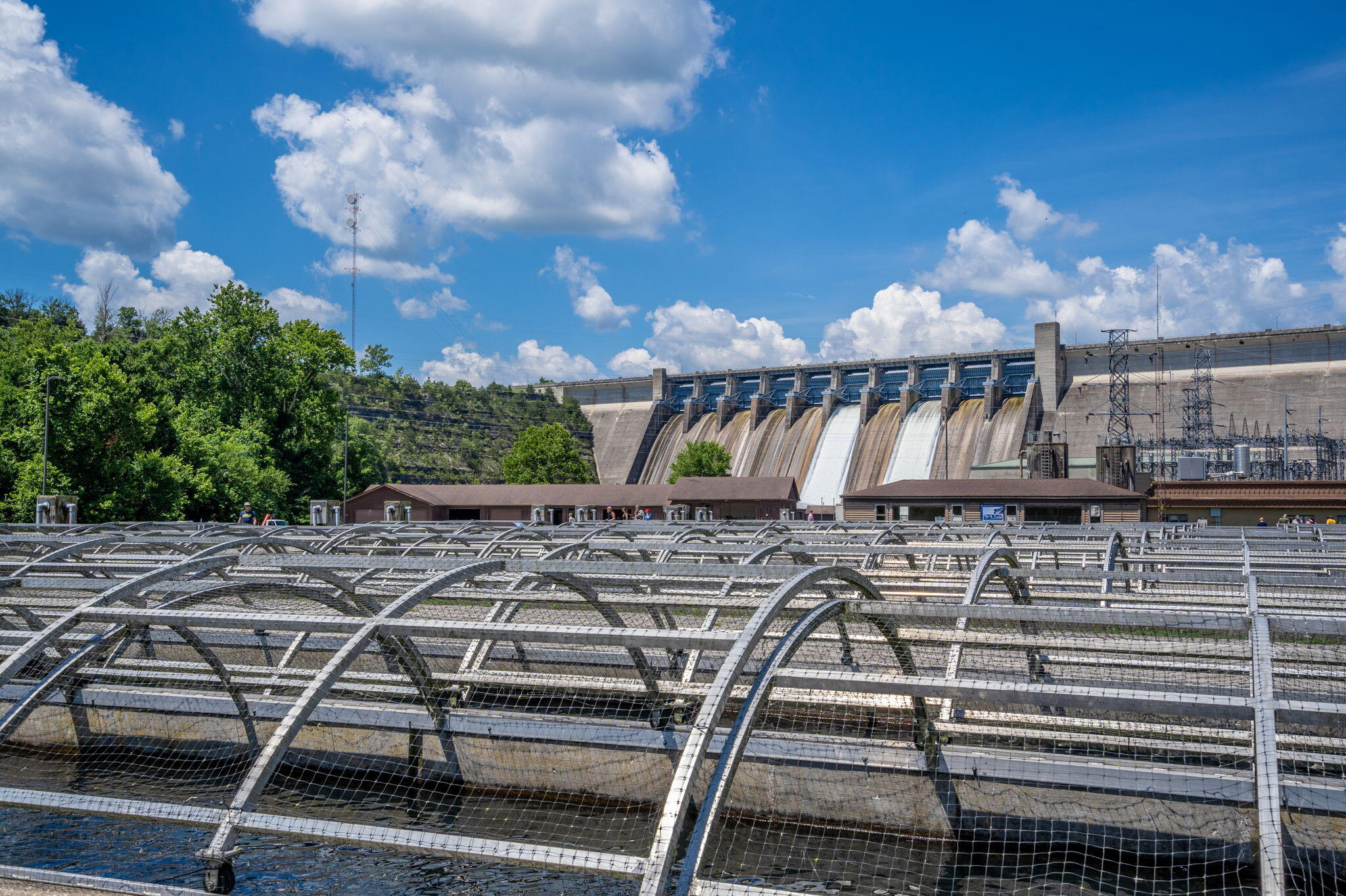 610 Abby Lane Property Photo 46