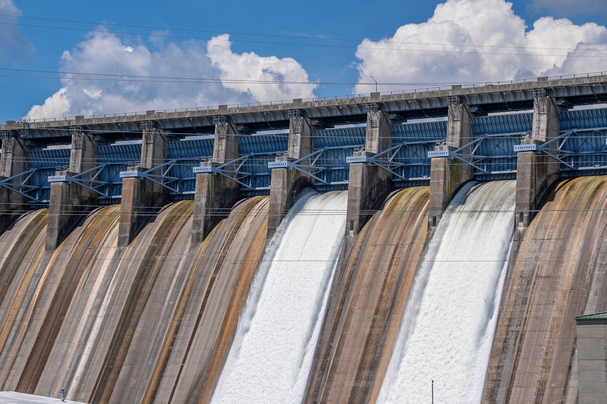 610 Abby Lane Property Photo 48