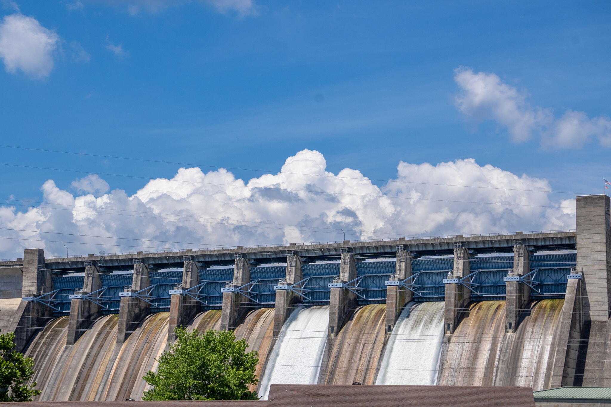 610 Abby Lane Property Photo 53