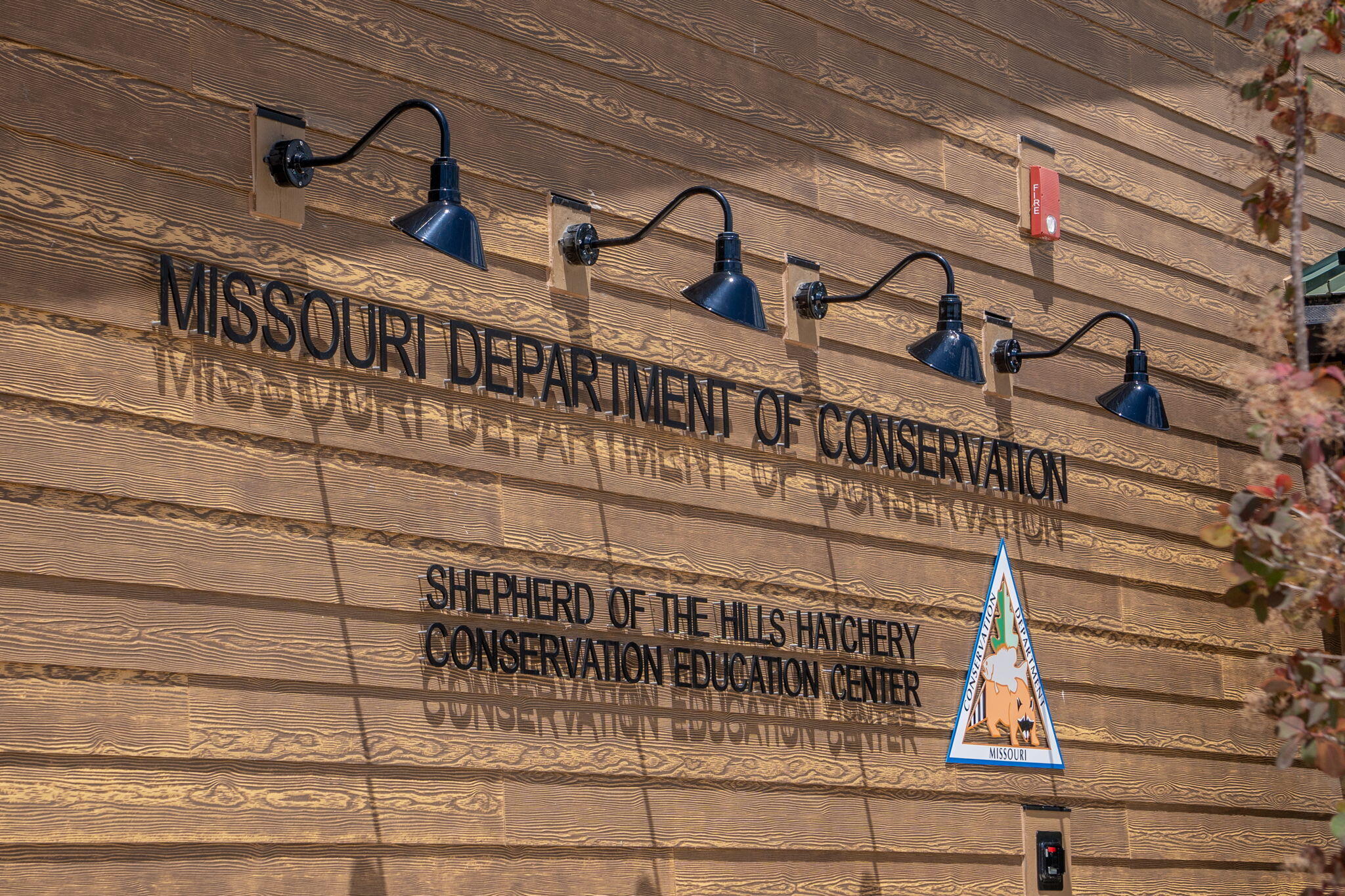 610 Abby Lane Property Photo 56