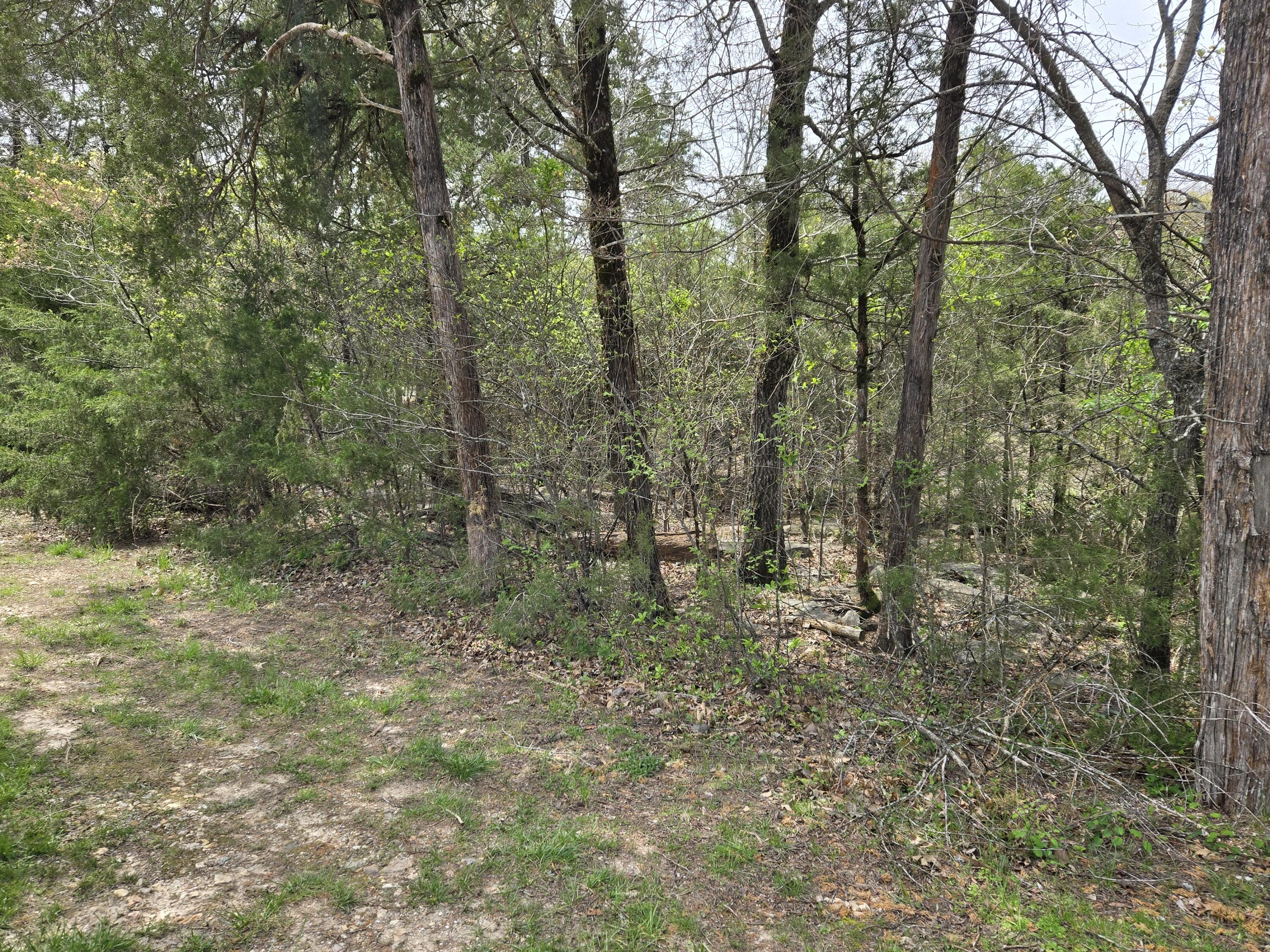 824 Meadow Lane Property Photo 2