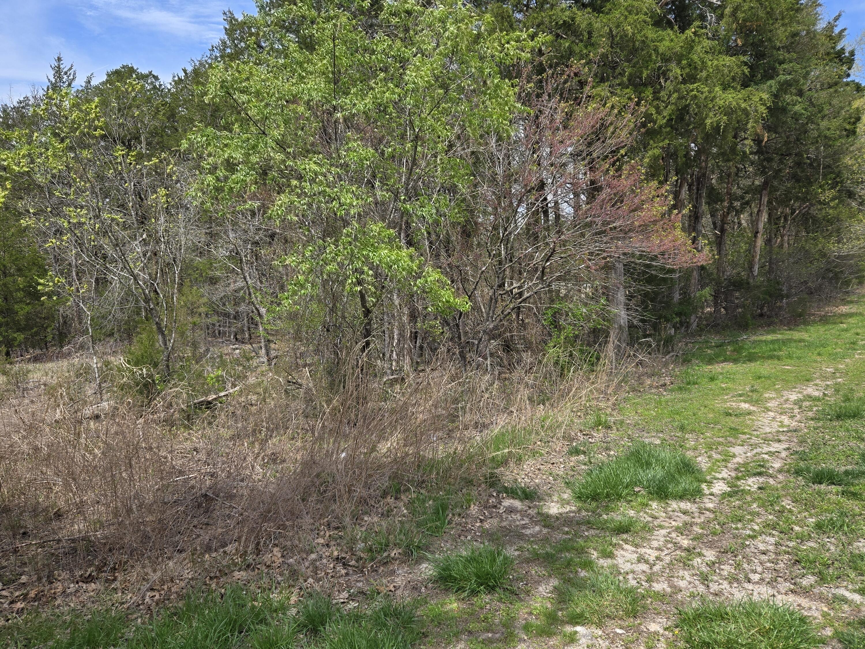 824 Meadow Lane Property Photo 3
