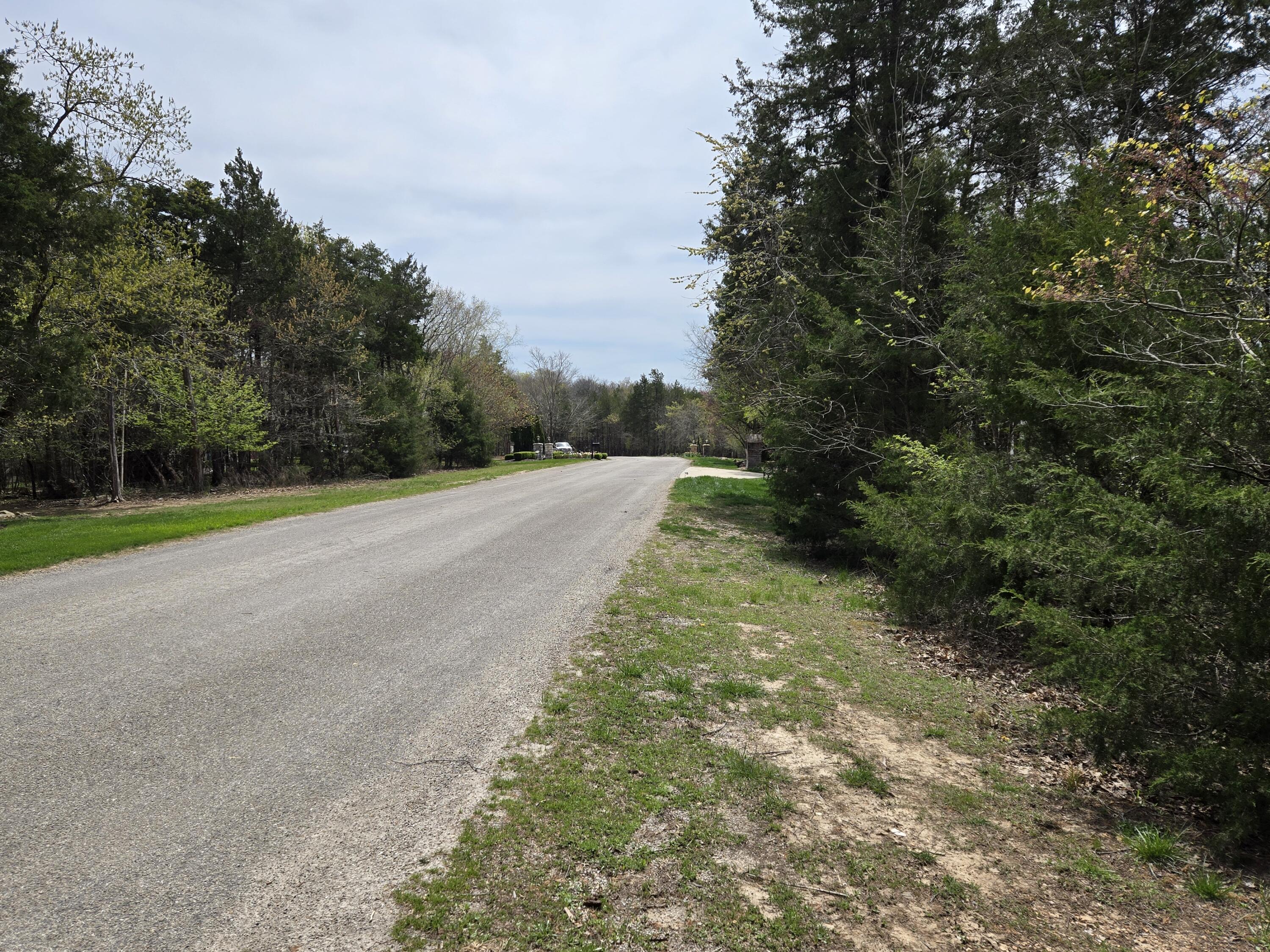 824 Meadow Lane Property Photo 6