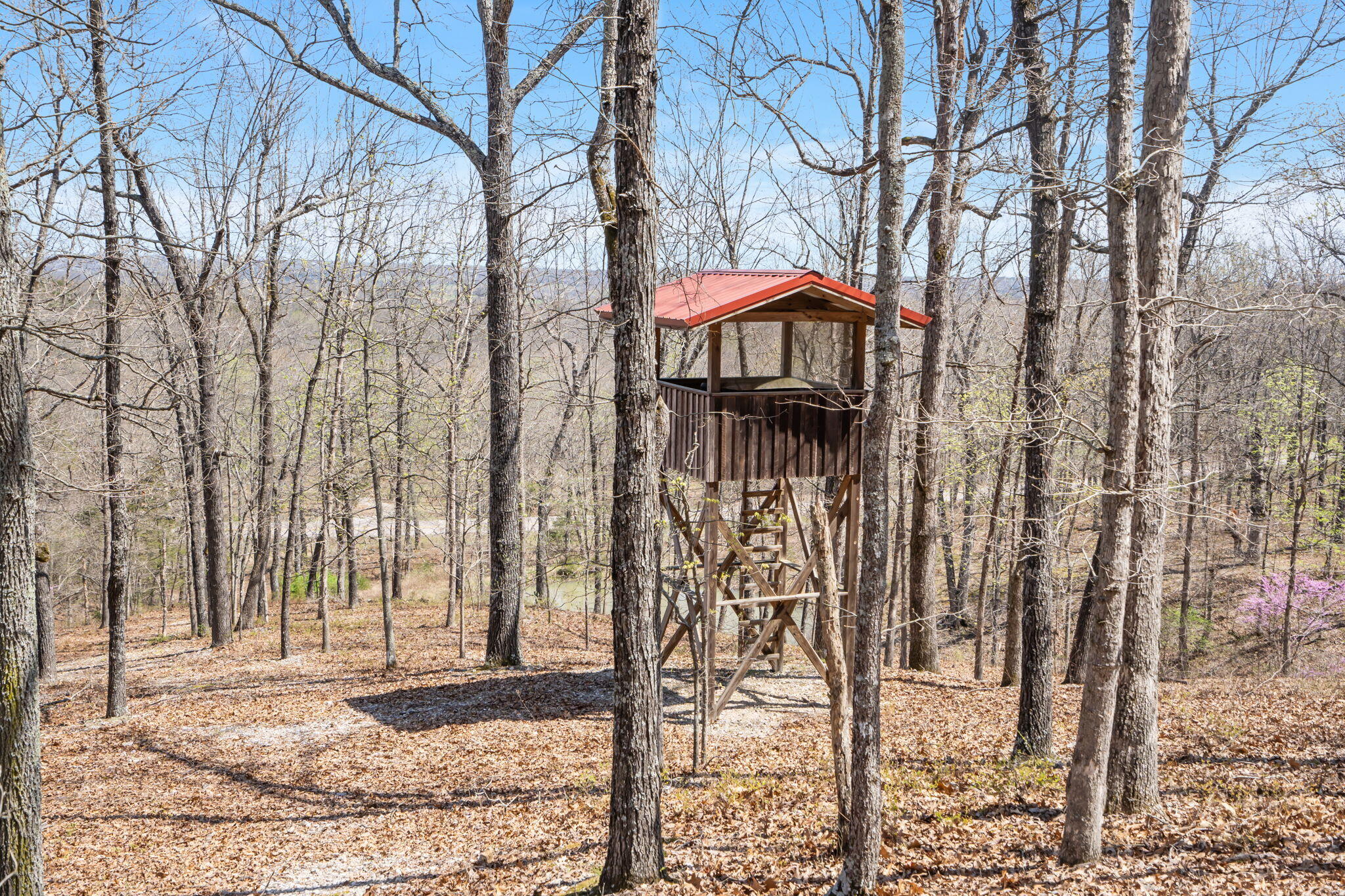 87 Piper Drive Property Photo 35