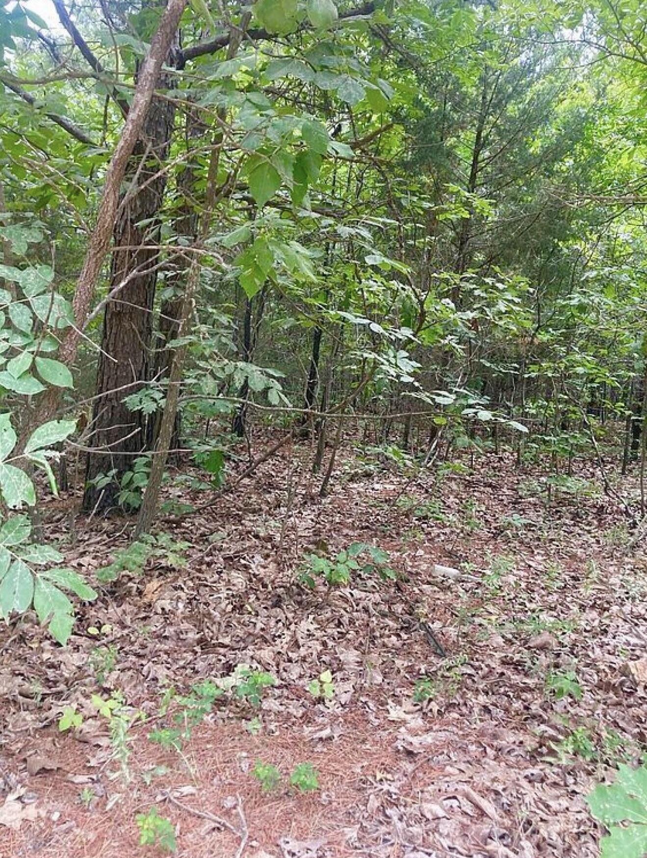 12158 Valley View Road Property Photo 11