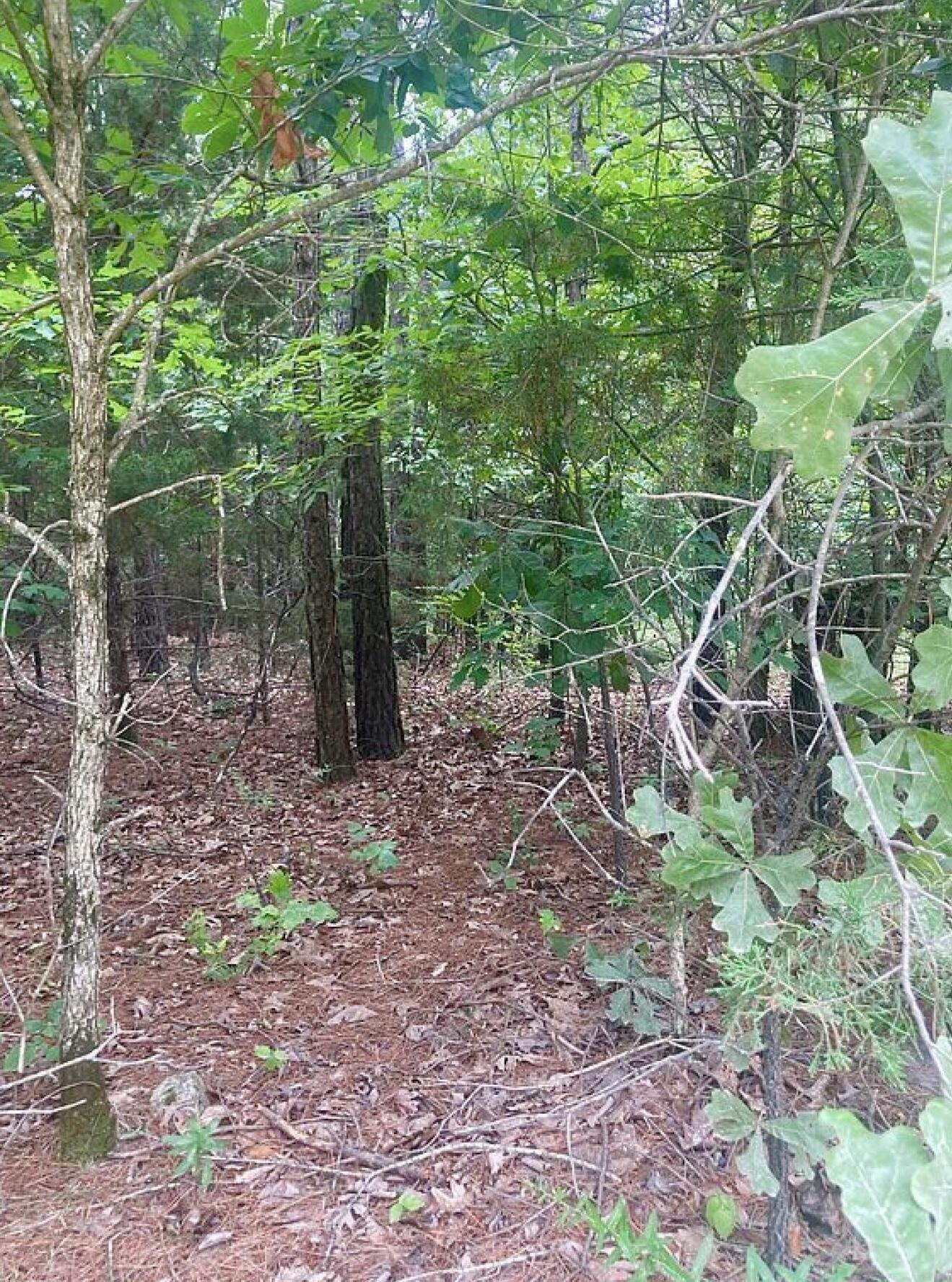 12158 Valley View Road Property Photo 12