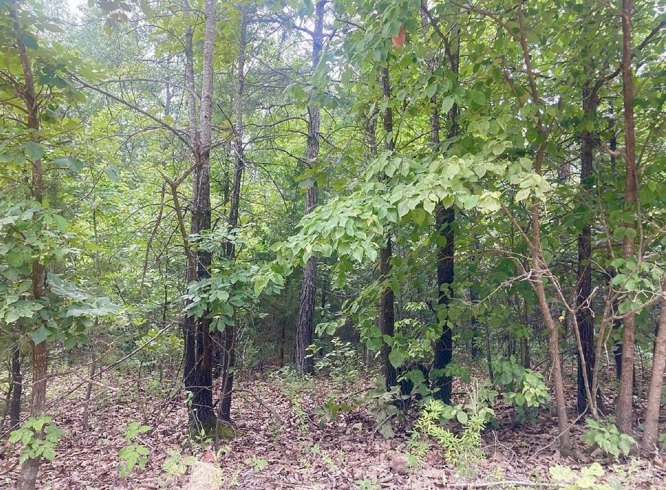 12158 Valley View Road Property Photo 13