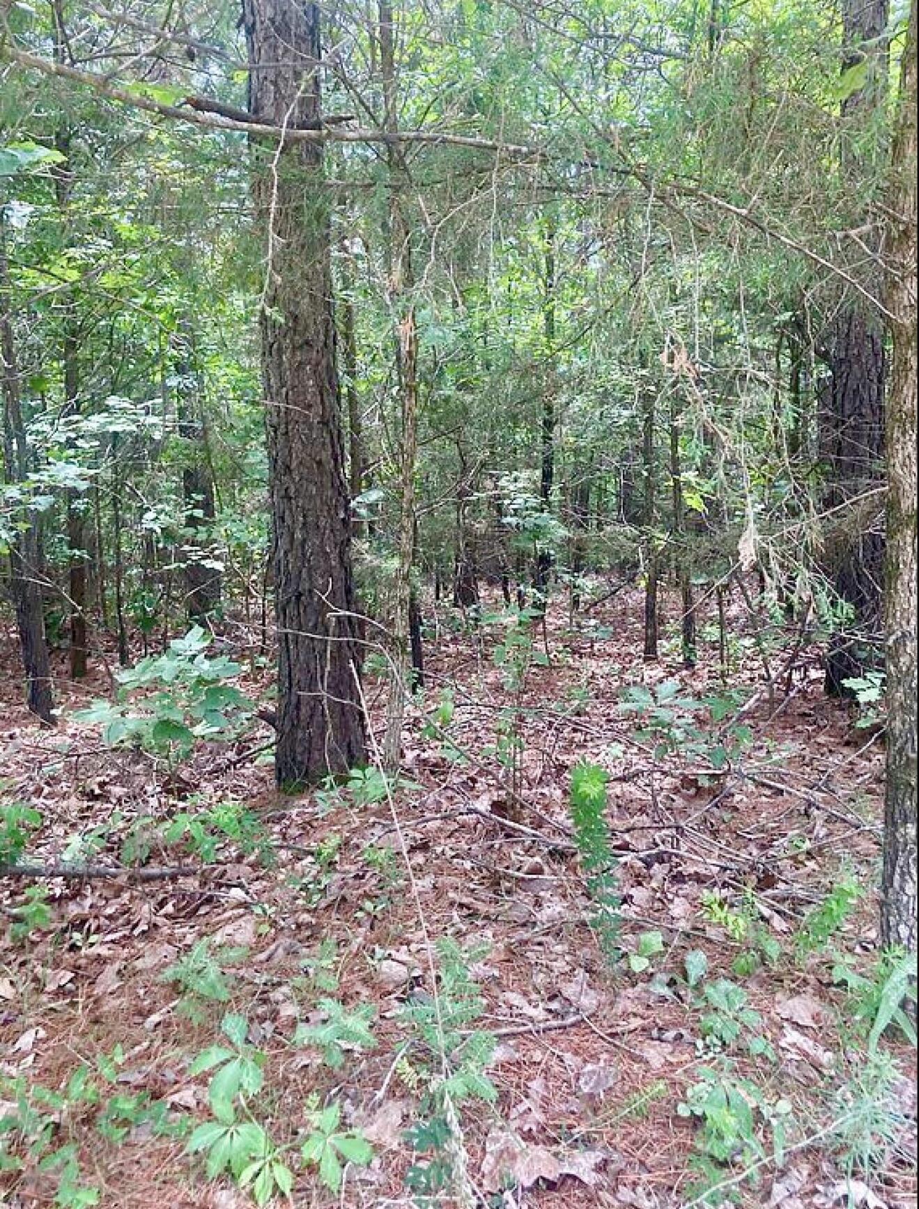 12158 Valley View Road Property Photo 14