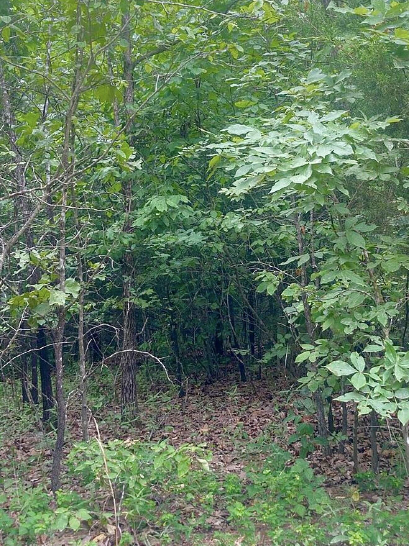 12158 Valley View Road Property Photo 15