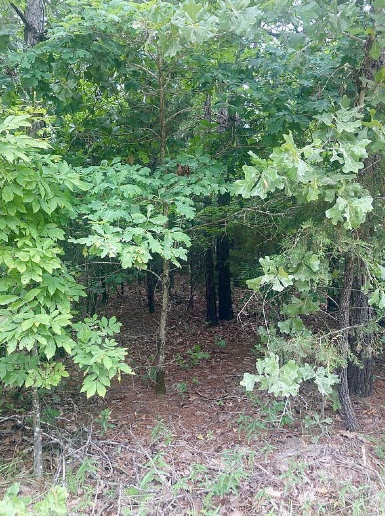 12158 Valley View Road Property Photo 16