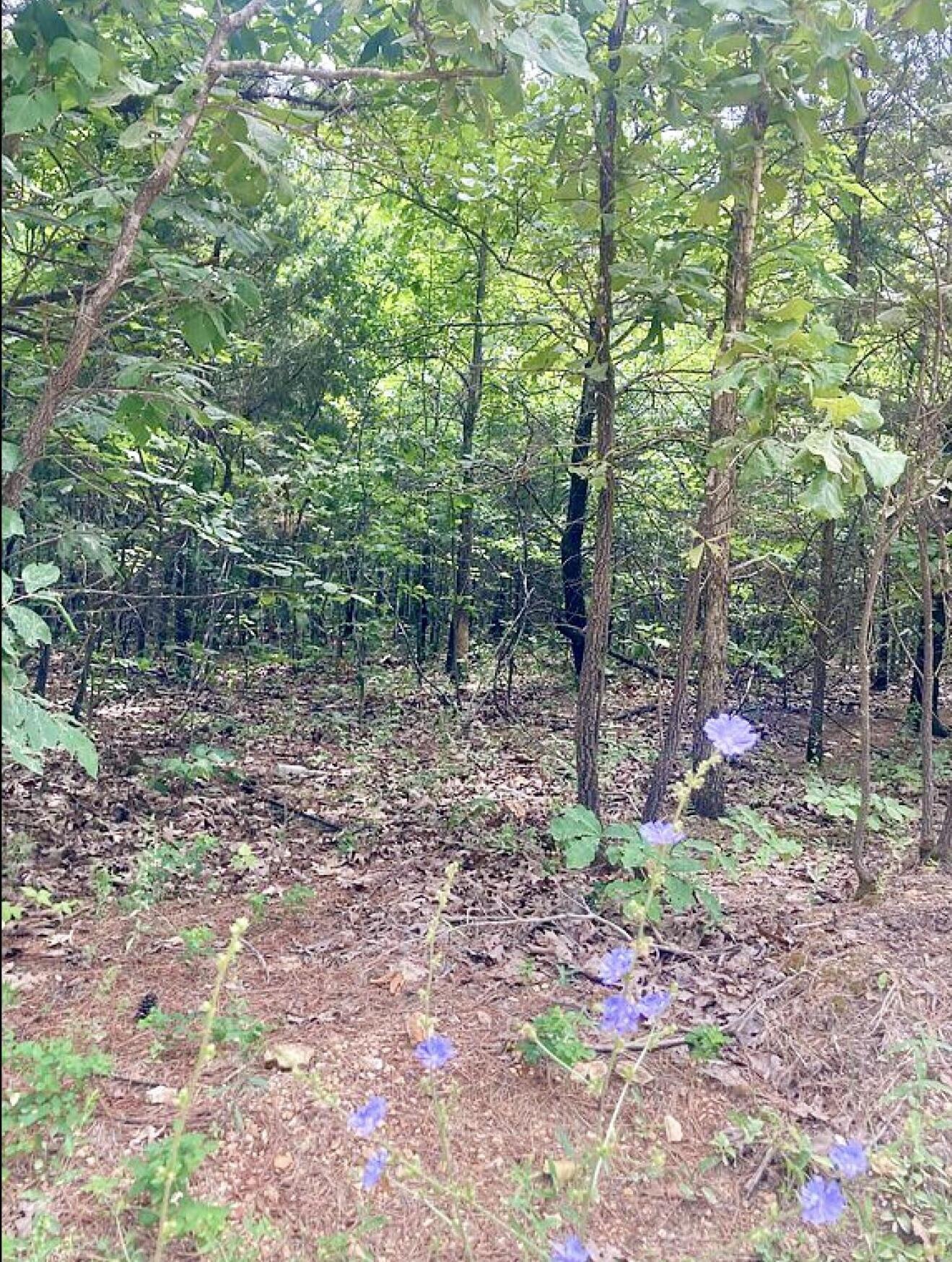 12158 Valley View Road Property Photo 17