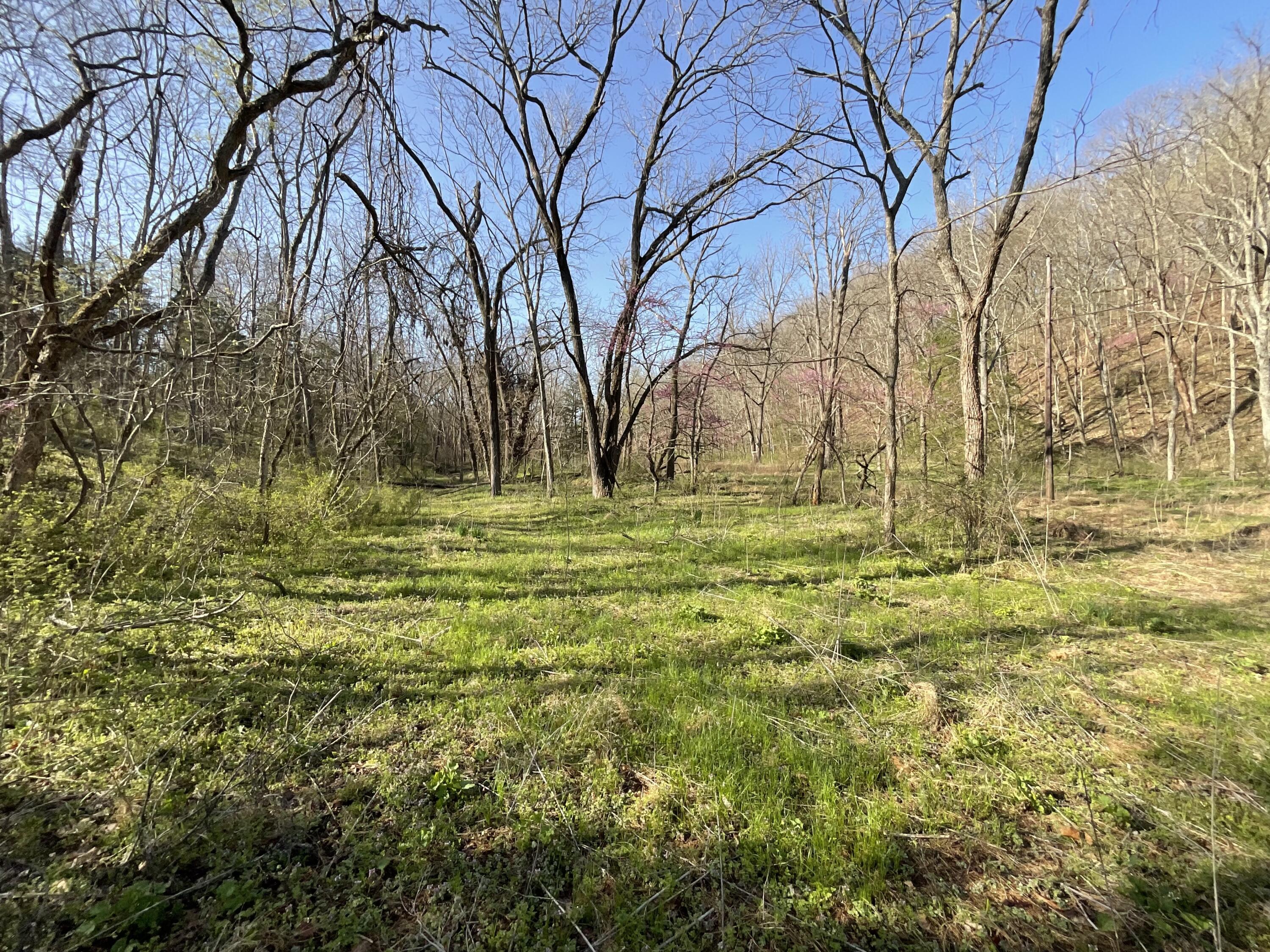 000 Brush Creek Road Property Photo 2