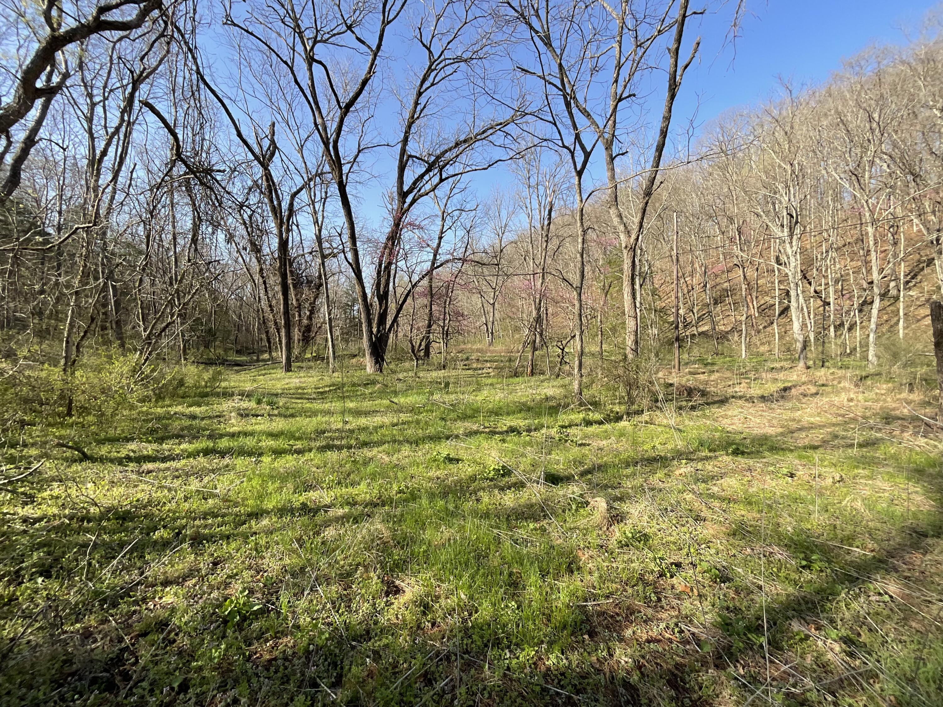 000 Brush Creek Road Property Photo 3