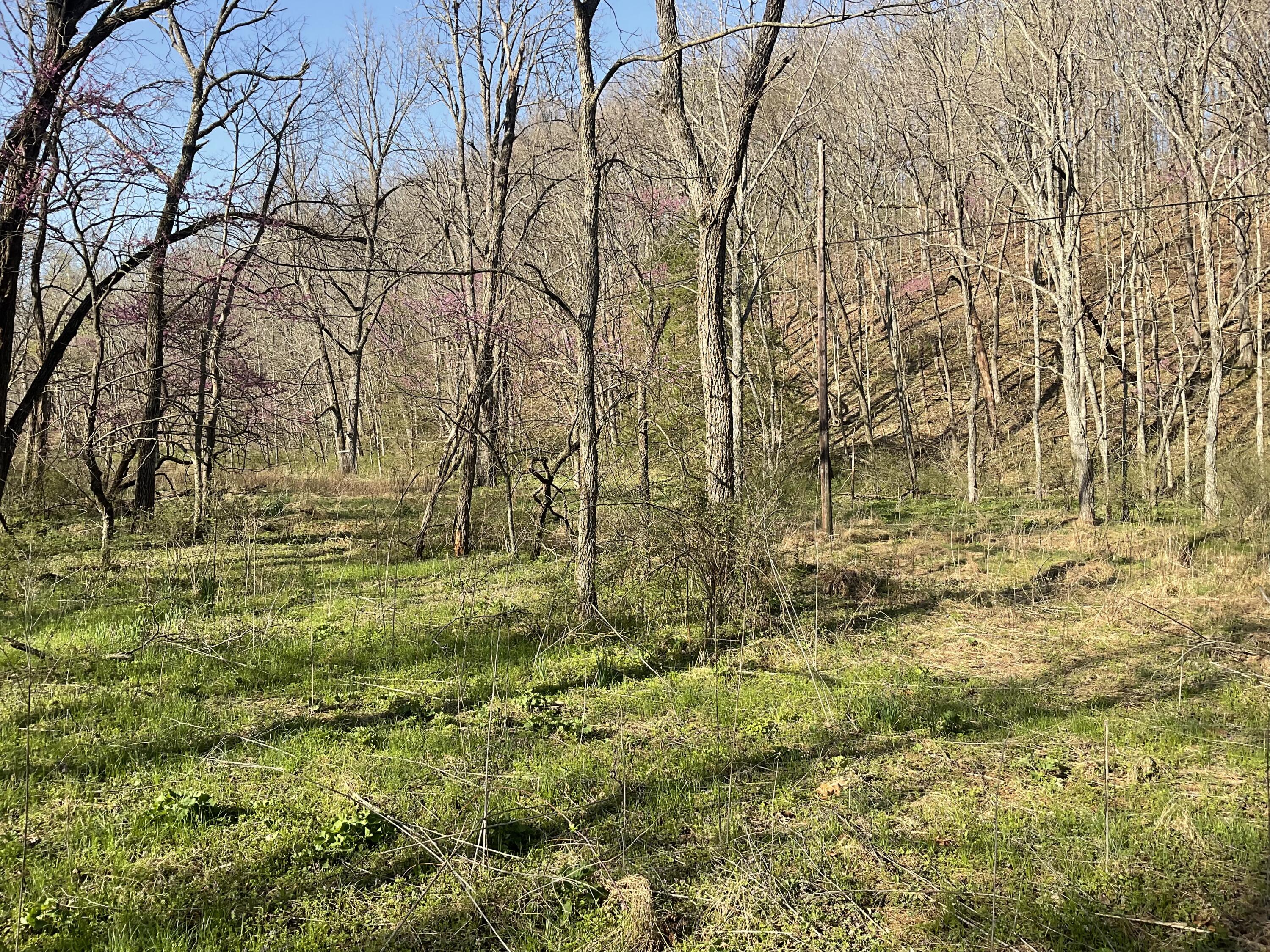 000 Brush Creek Road Property Photo 4