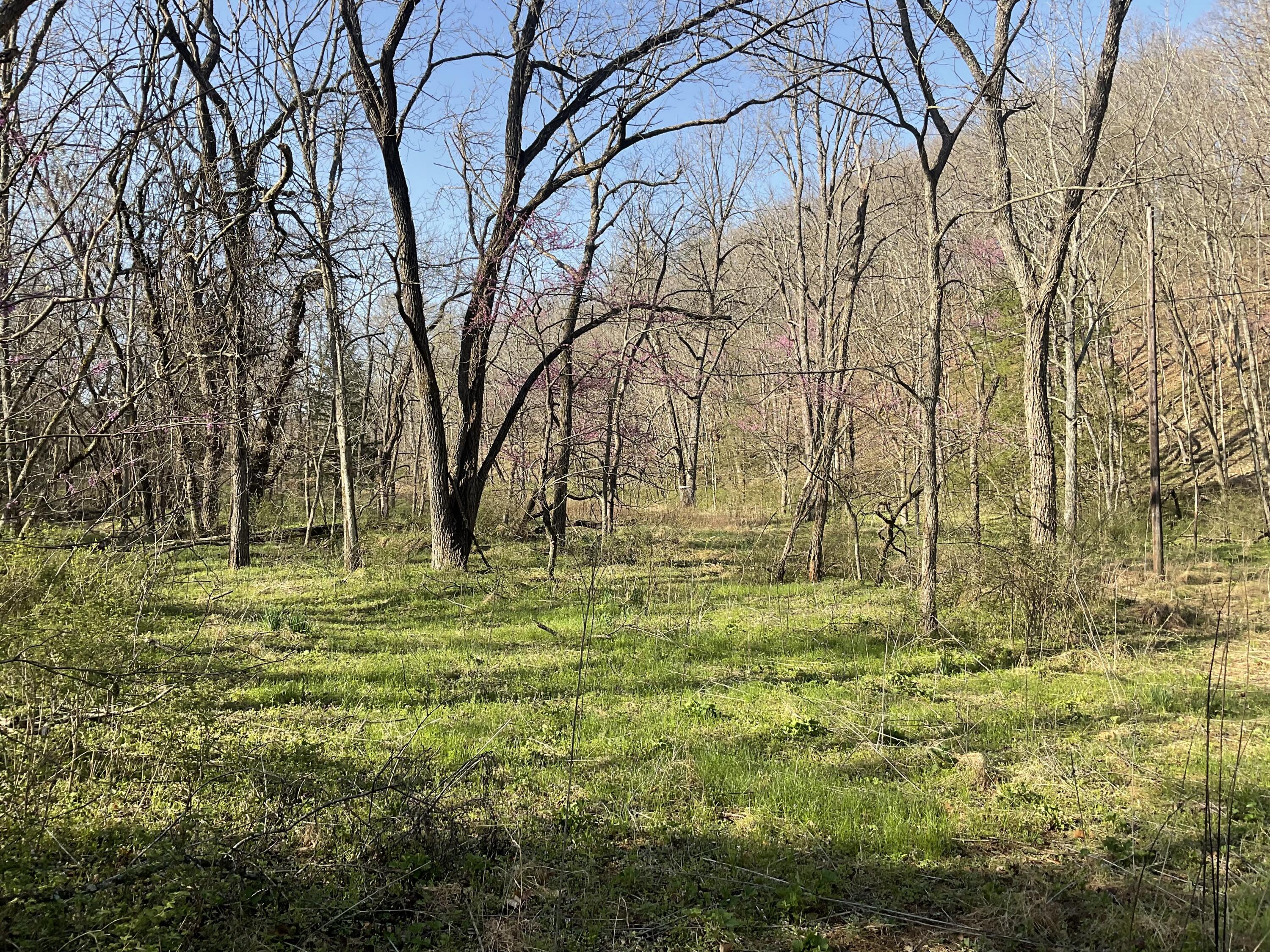 000 Brush Creek Road Property Photo 5
